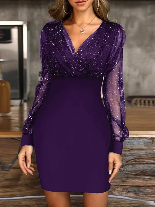 Sexy Women's Long Sleeve Party Dress